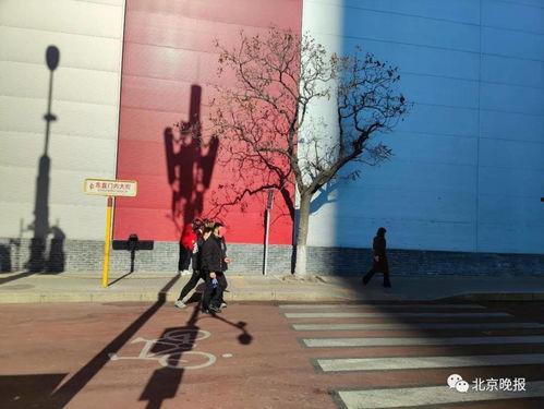 北京东直门网红槐树,见证京城岁月的绿意盎然”