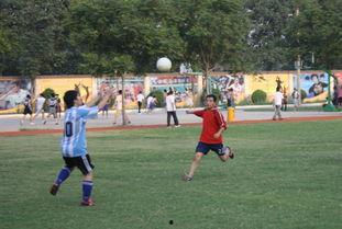 吃瓜足球集锦图片高清,吃瓜球迷眼中的足球盛宴