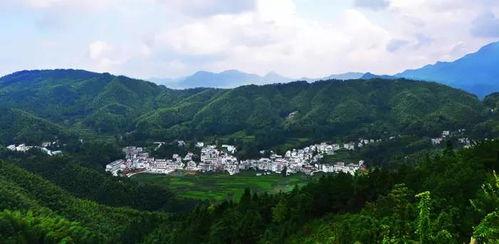 宿松县乌池镇新闻头条