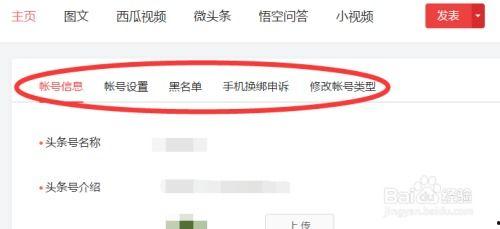 查找自己的头条账号信息,成长历程与精彩瞬间