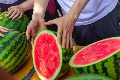 某高校吃瓜,揭秘某高校吃瓜背后的真相与内幕”